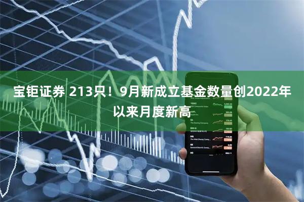 宝钜证券 213只！9月新成立基金数量创2022年以来月度新高