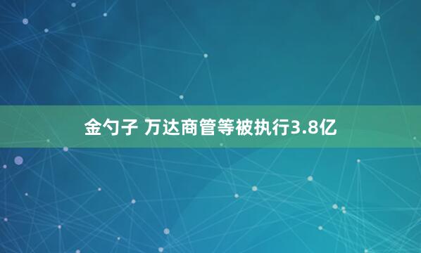 金勺子 万达商管等被执行3.8亿