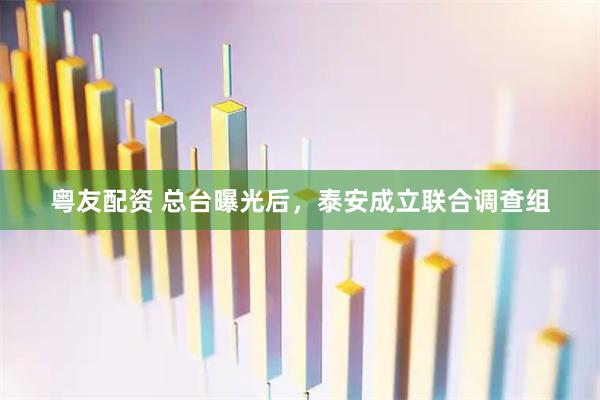 粤友配资 总台曝光后，泰安成立联合调查组
